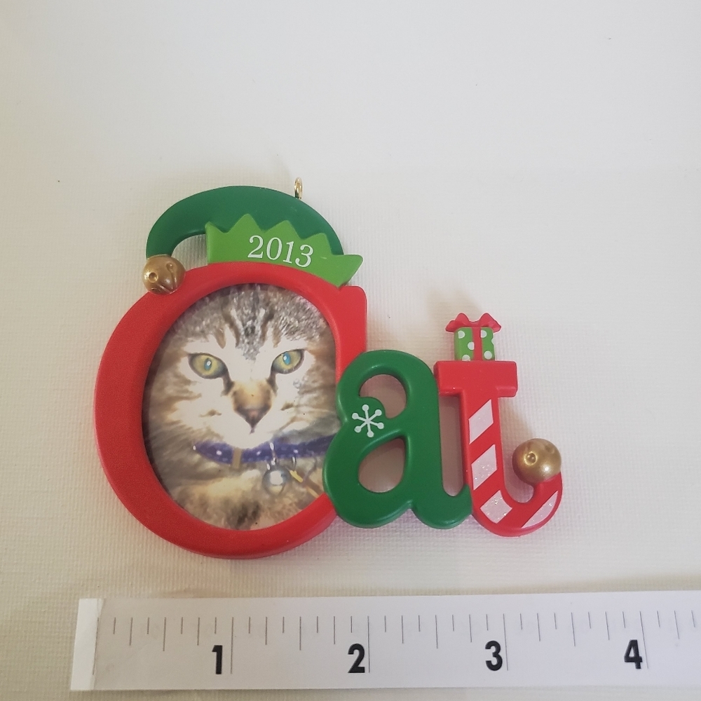 2013 Hallmark Cat Frame Ornament